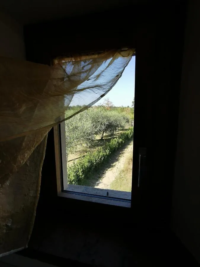 La Casina Di Ely Apartment Sant'Andrea in Casale